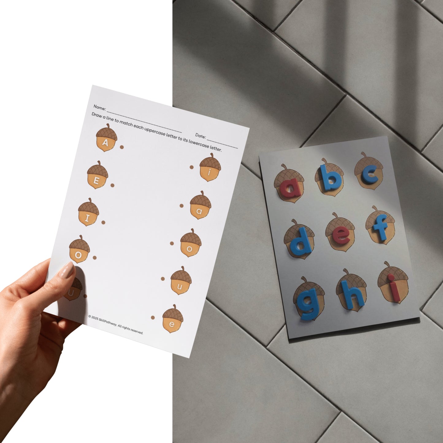 Matching Uppercase Letters to Lowercase Letters - Acorns