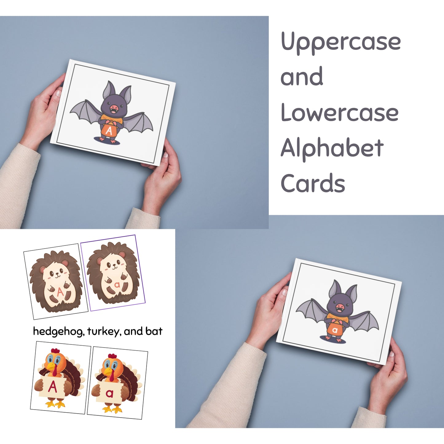 Uppercase and Lowercase Alphabet Cards