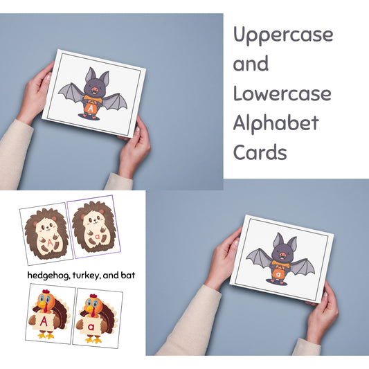 Uppercase and Lowercase Alphabet Cards